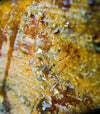 Balsamo Del Tolù