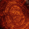 Amberwood