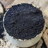 Caviale di vaniglia