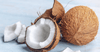 Cocco