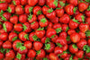 Fragola