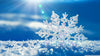 Neve