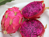Pitahaya