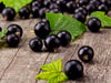 Ribes nero